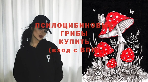 apvp Переславль-Залесский
