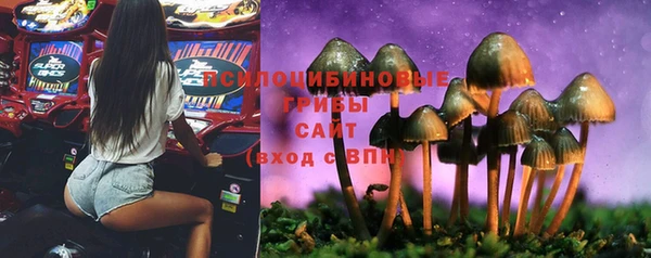 скорость Пересвет