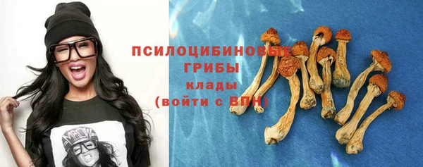 скорость Пересвет