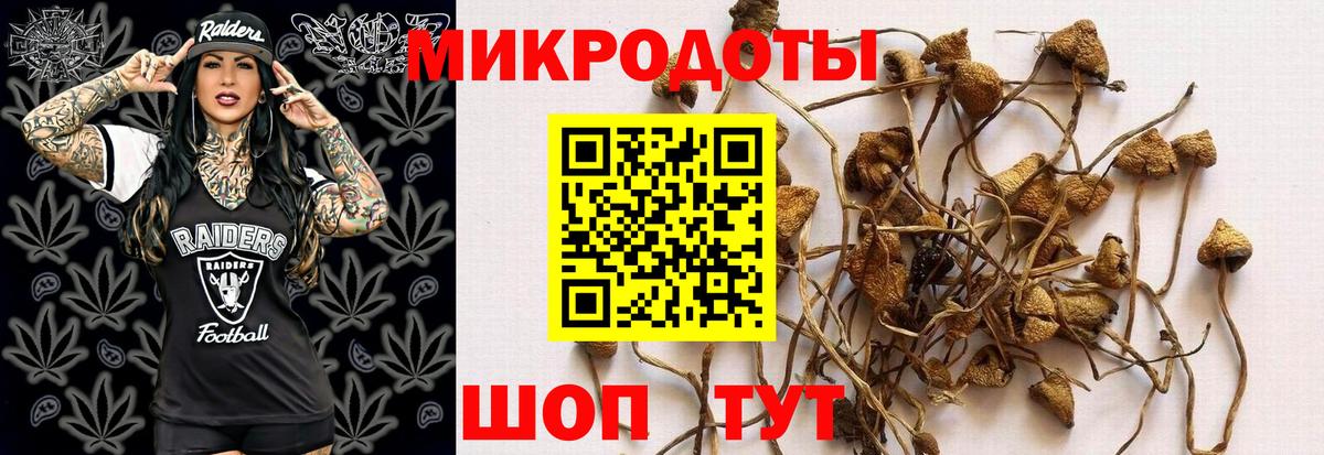 Галлюциногенные грибы GOLDEN TEACHER  Боровичи  сколько стоит  Галлюциногенные грибы прущие грибы 