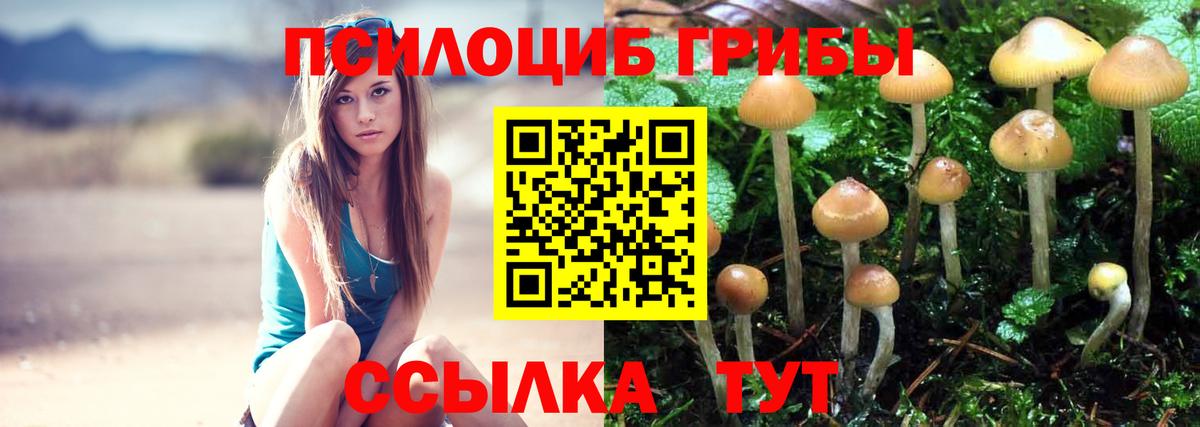 Боровичи  Галлюциногенные грибы ЛСД  Вход с VPN 