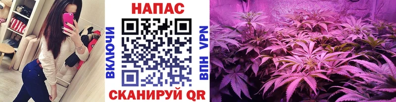Бошки Шишки VHQ  Боровичи 